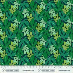 Monstera in Forest