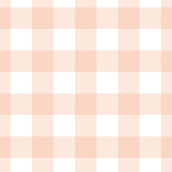 Large Gingham in Peaches