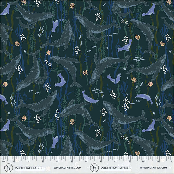 Headwaters in Navy