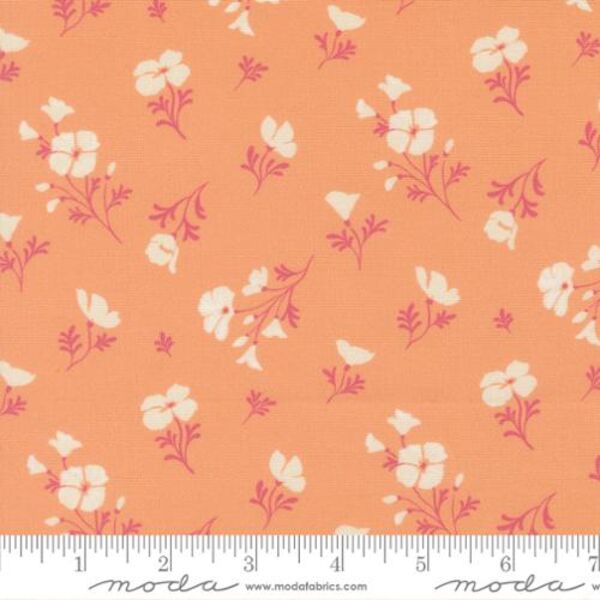 Astoria in Peach
