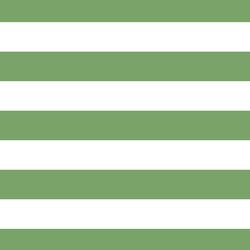 Horizontal Play Stripe in Pistachio