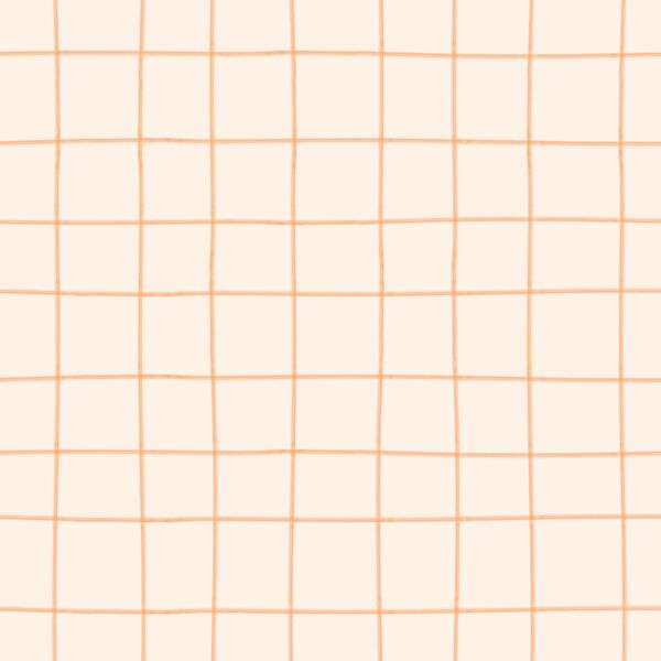 Large Painted Check in Apricot on Marshmallow
