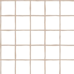 Windowpane in Sand on White
