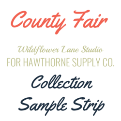 County Fair Sample Strip