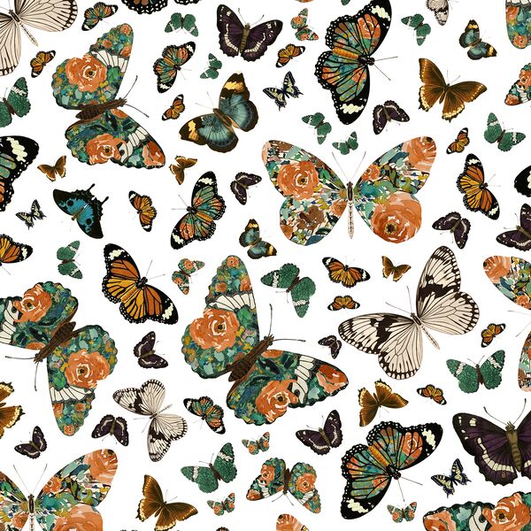 Small Autumn Butterfly in White