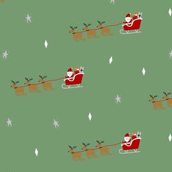 Reindeer Flight in Mistletoe