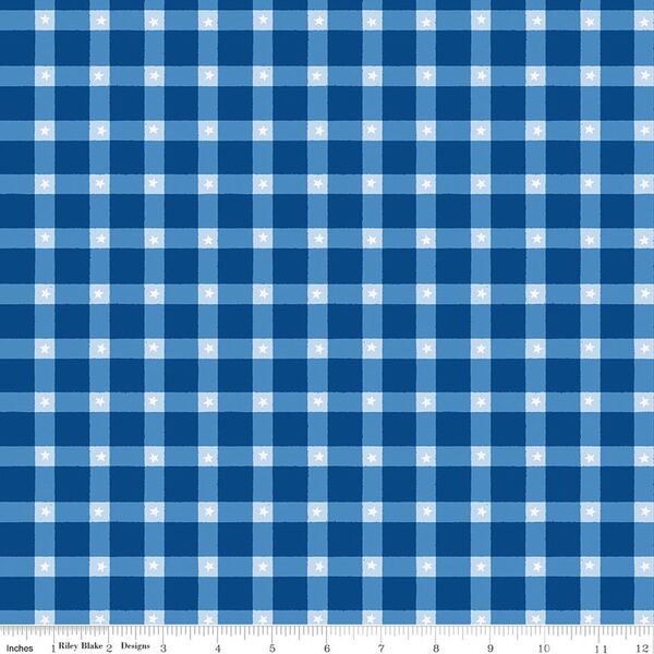 Plaid in Blue