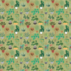 Plants in Olive