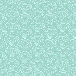 Shells in Splash