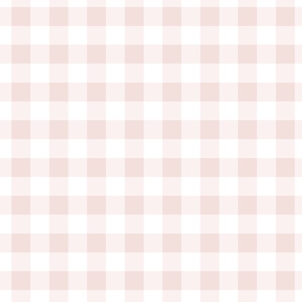 Gingham in Blush