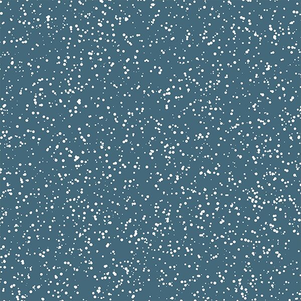 Stardust in Lake