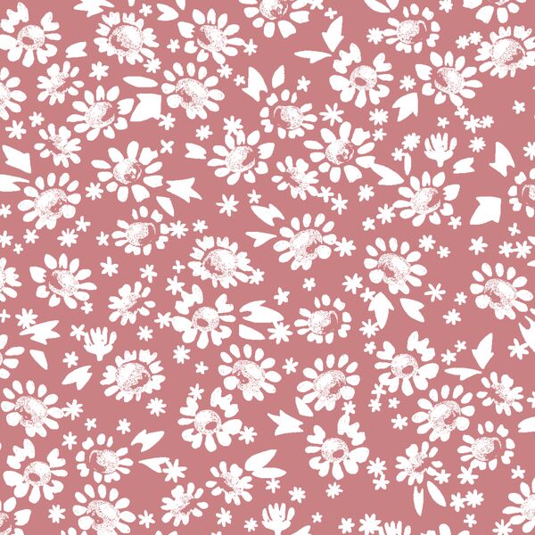 Daisies in Berry