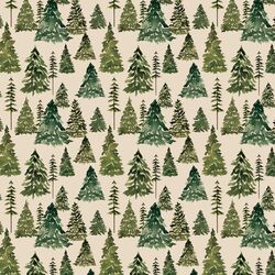 Forest in Wild