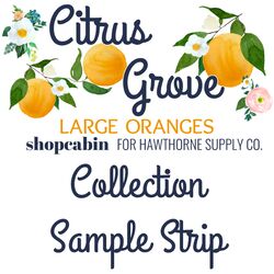 Citrus Grove Sample Strip in Large Oranges