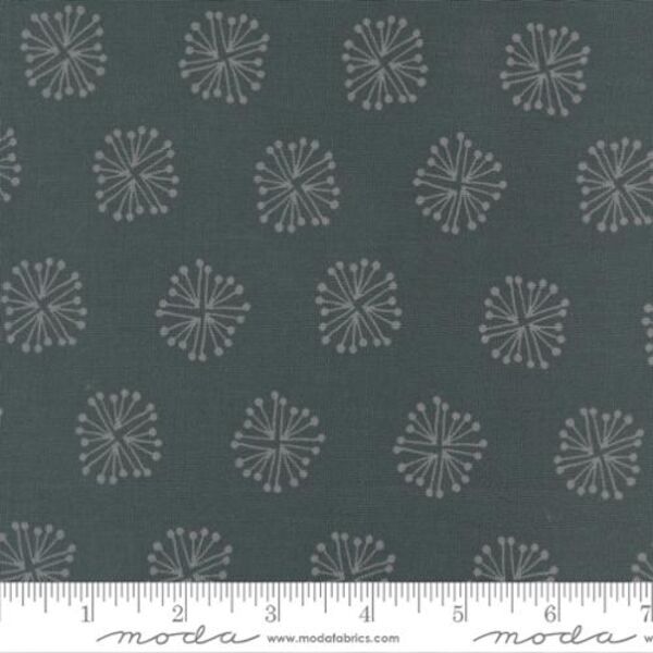 The Big Bang in Dark Blue