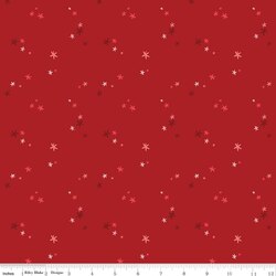 Christmas Magic in Berry