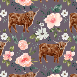 Highland Cow in Plum