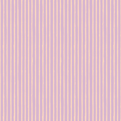 Striped Field in Evening