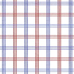 Patriotic Plaid in Americana