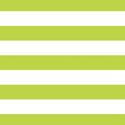 Horizontal Play Stripe in Lime
