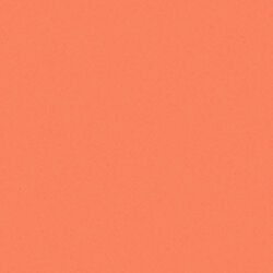 Solid in Light Orange