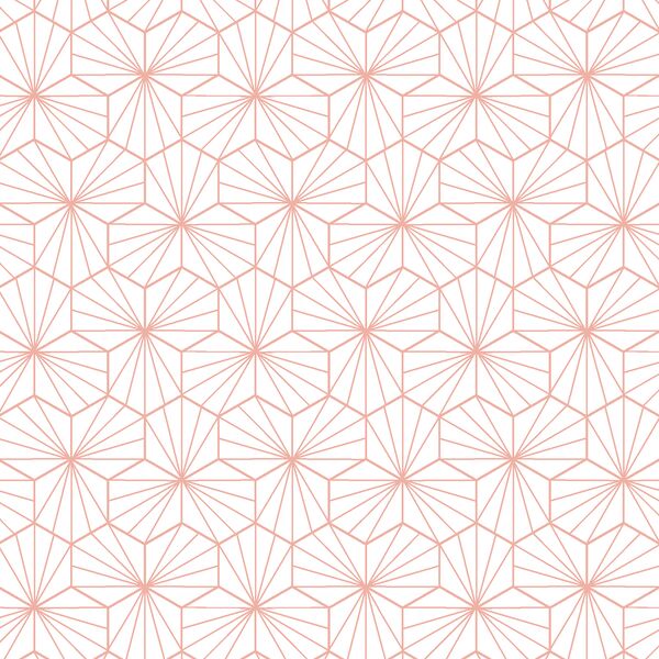 Little Radiate in Peony
