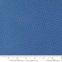 Starlight in Dark Blue