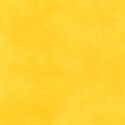 Palette in Lemon Zest