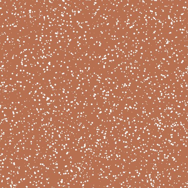 Stardust in Terracotta