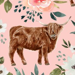 Large Highland Cow in Pink