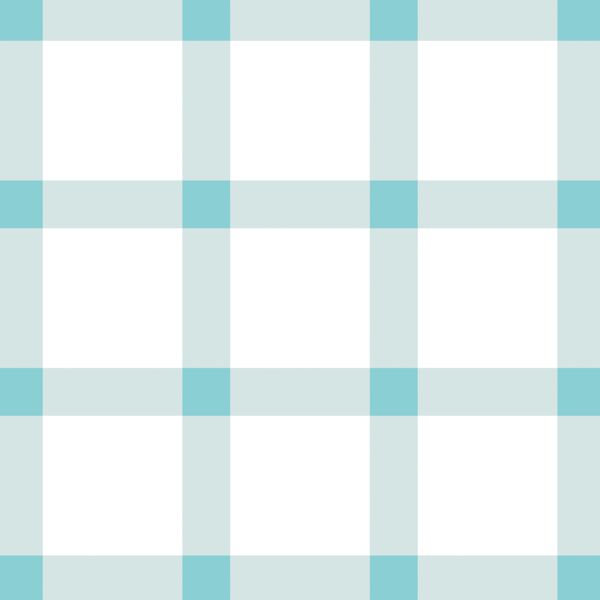 Big Summer Gingham Check in Raindrop
