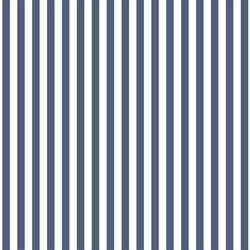 Dress Stripe in Midnight