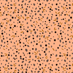 Seeds in Cantaloupe