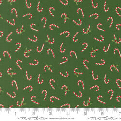 Candy Cane in Evergreen