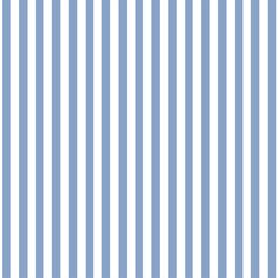 Dress Stripe in Cornflower