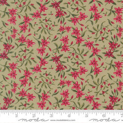 Star of Bethlehem in Sage