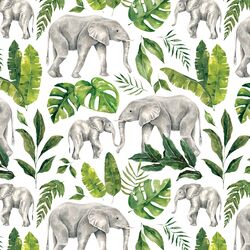 Jungle Elephant in White
