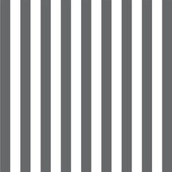 Candy Stripe in Charcoal