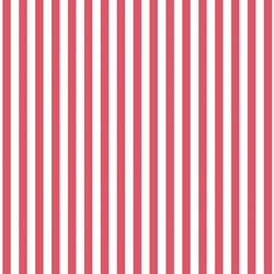 Dress Stripe in Passion
