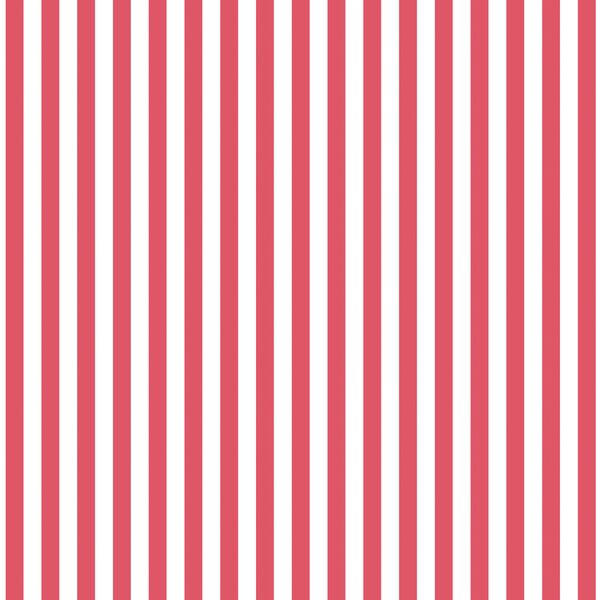 Dress Stripe in Passion