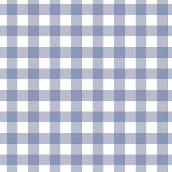 Gingham in Light Dutch Blue