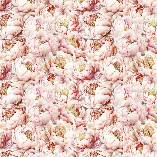 Peony Love in Viola