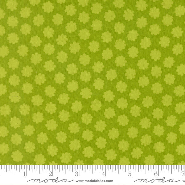 Puffball in Lime