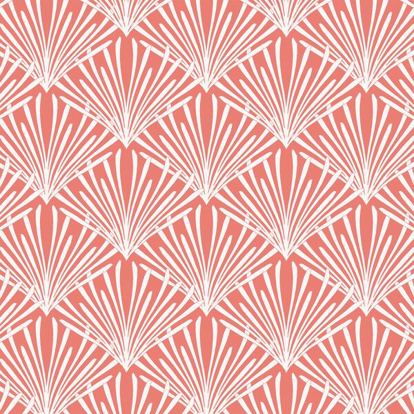 Shells in Red Coral