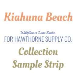 Kiahuna Beach Sample Strip