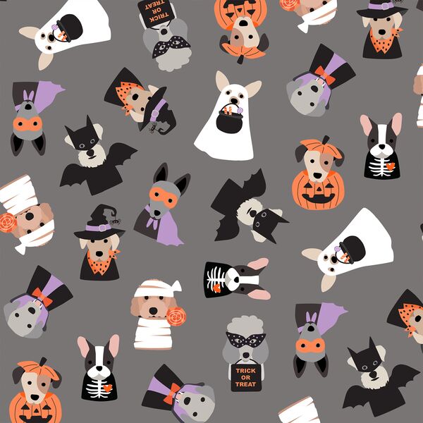 Costume Party in Gray