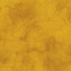 Palette in Mustard
