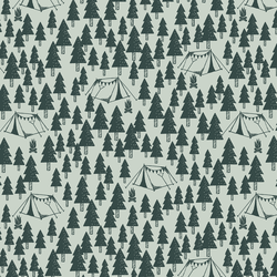 Woodland Camping in Pine Grove on Milky Green