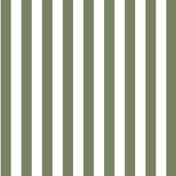 Candy Stripe in Olive