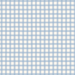Little Gingham in Baby Blue